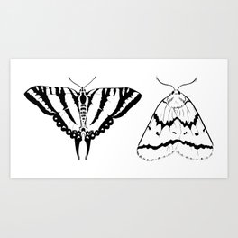 Butterfly and Moth Art Print