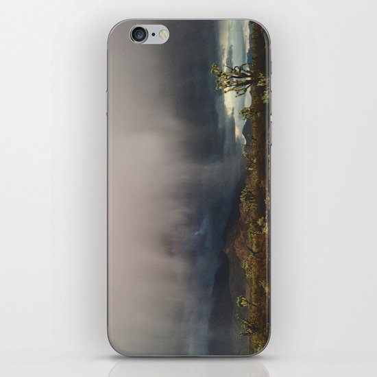 Arizona Storm iPhone & iPod Skin
