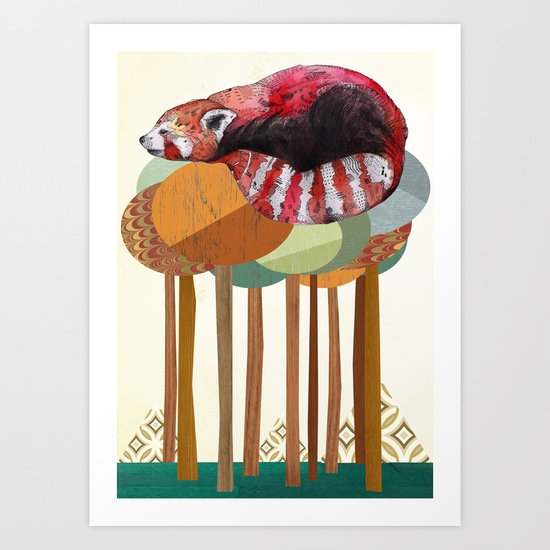 Red Panda Art Print
