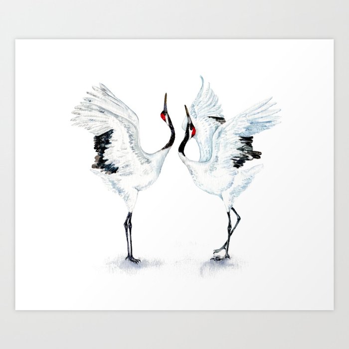 Dancing Japanese Red-crowned crane Art Print
