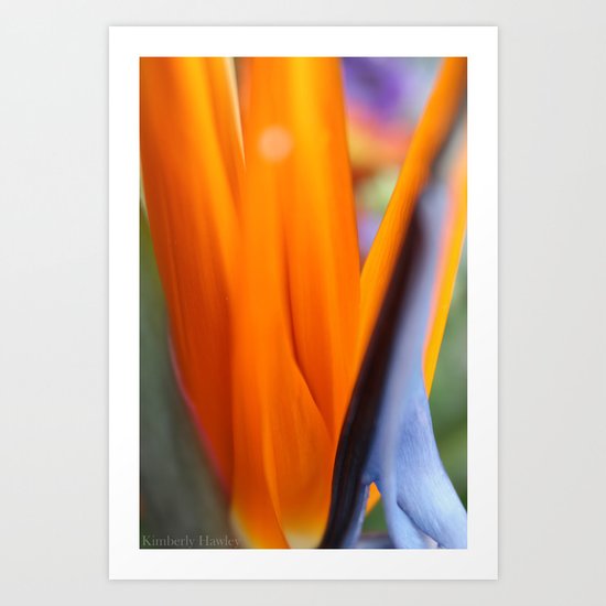 Birds of Paradise Art Print