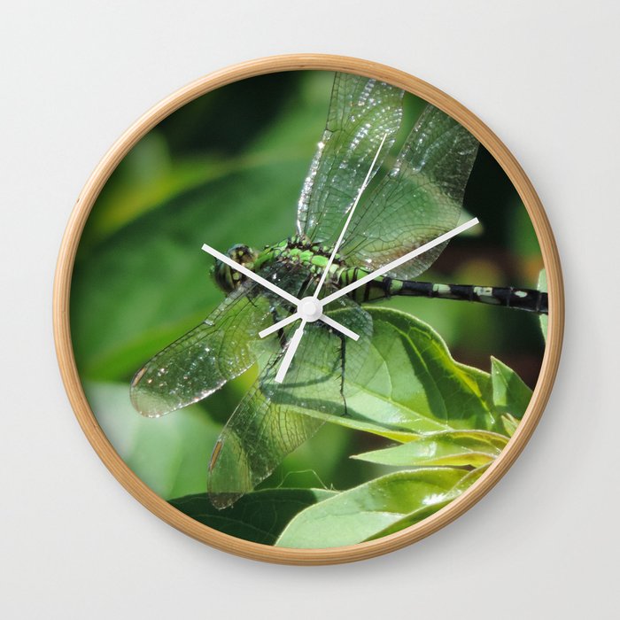 Dragonfly #9 Wall Clock