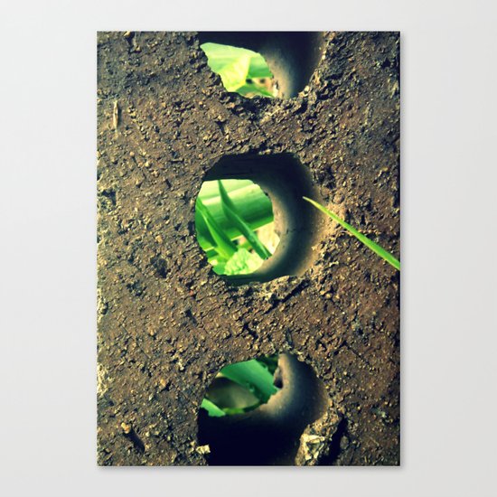 Peering Through Canvas Print