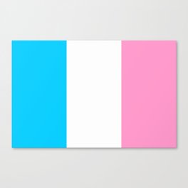 Parody of the french flag -France,Paris, pink, Marseille, lyon, Bordeaux,love, girly,fun,idyll,Nice Canvas Print