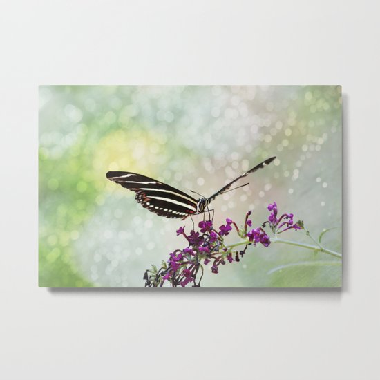 Born to Fly Metal Print