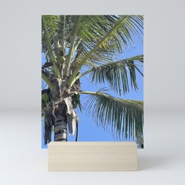 Coconut Tree Mini Art Print