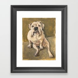 Camilla Bulldog Framed Art Print