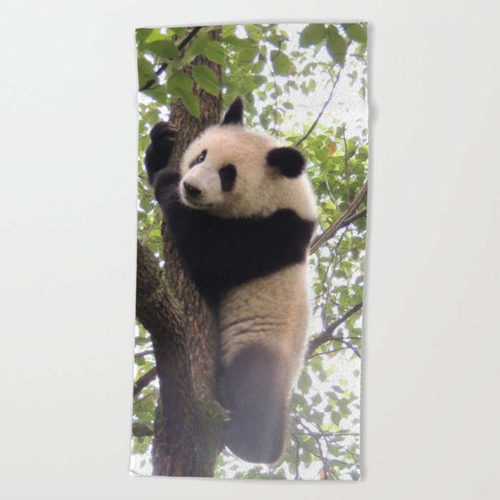 Chongqing Baby Giant Panda Bebe Panda Geant Beach Towel By Sylvie Charbonneau Society6 Chongqing Baby Giant Panda Bebe Panda Geant Beach Towel By Sylvie Charbonneau Society6