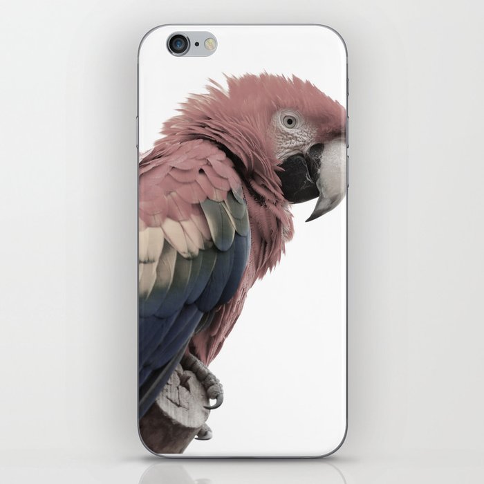 Red Parrot iPhone Skin