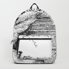 A walk to remember Backpack