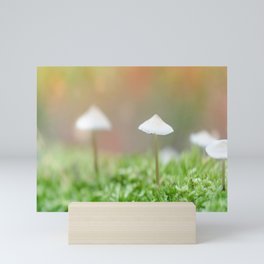 Snail Parasols Mini Art Print