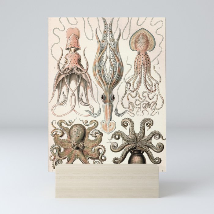 Vintage Octopus Illustration Mini Art Print