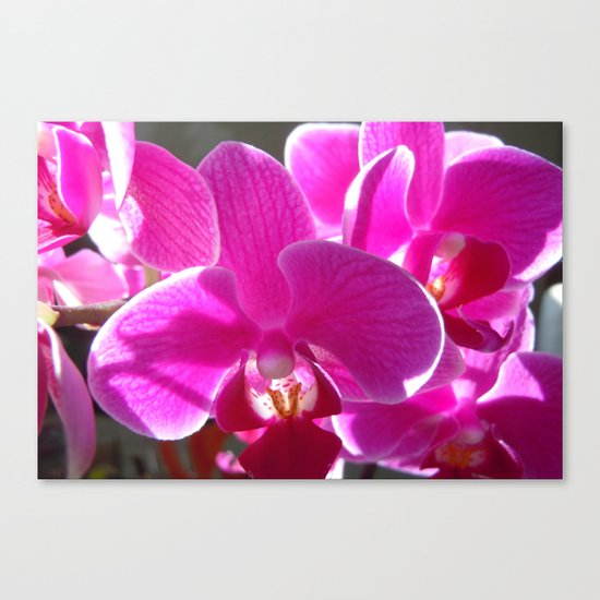 Orchid Love Canvas Print