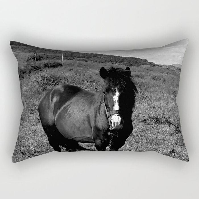 Monochrome black horse on the field in the summertime Rectangular Pillow