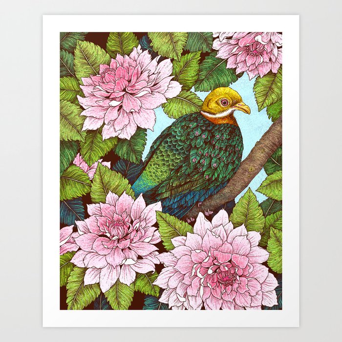 Whistling Fruit Dove in Spring Art Print