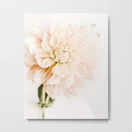 White Flower Photography - Dahlia - Minimal Floral Print   Metal Print | Nature, Whitedahliaprint, Dahlia, Flowerphotography, Pastelflowerphoto, Dhaliaphotography, Flower Photography, Nude, Photo, Wallart 