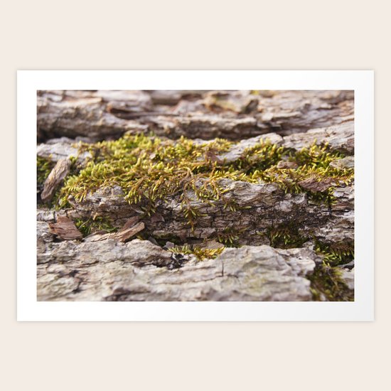 Grow Art Print