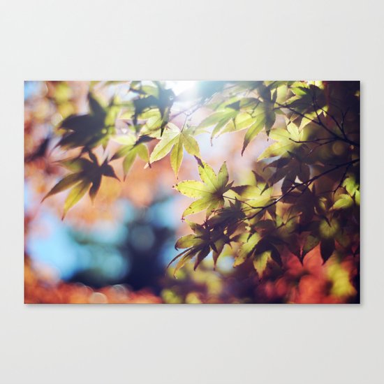 Autumn beauty Canvas Print