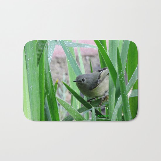Kinglet Approaching Bath Mat