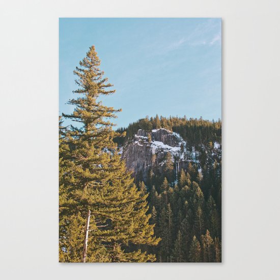 Trees in the Mountains Canvas Print