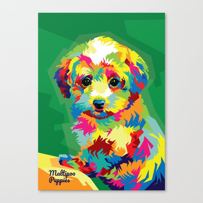 Maltipoo Dog Pop Art Illustration Canvas Print
