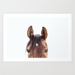 peekaboo horse, bw horse print, horse photo, equestrian, equestrian photo, equestrian decor Art Print