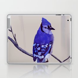 Blue Jay Bird Laptop & iPad Skin