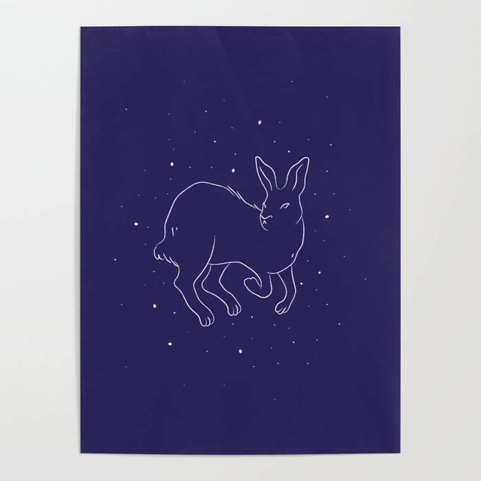 Arctic hare in a winter starry night Poster