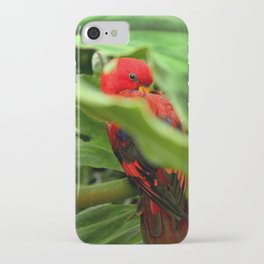 Red Lory iPhone Case