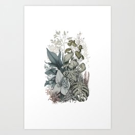 Botanical Print Art Print