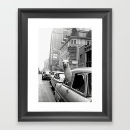 Llama Riding In Taxi Framed Art Print