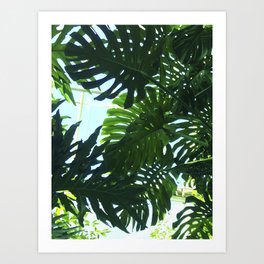 The Jungle Above Art Print