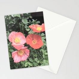 Papaveraceae Stationery Cards