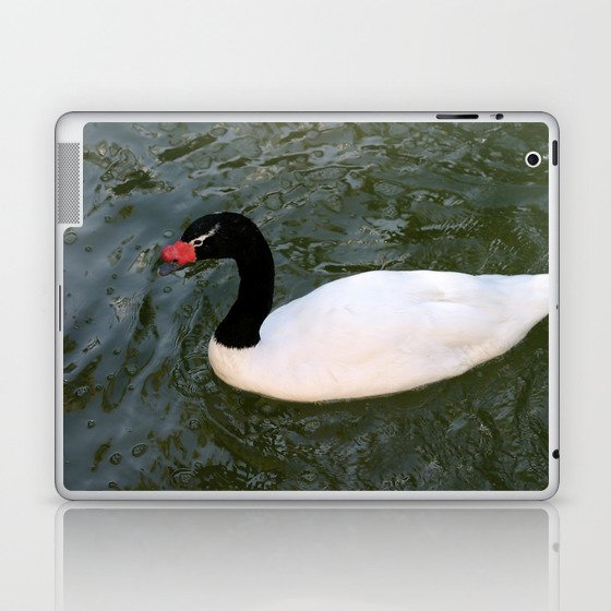 Duck Laptop & iPad Skin