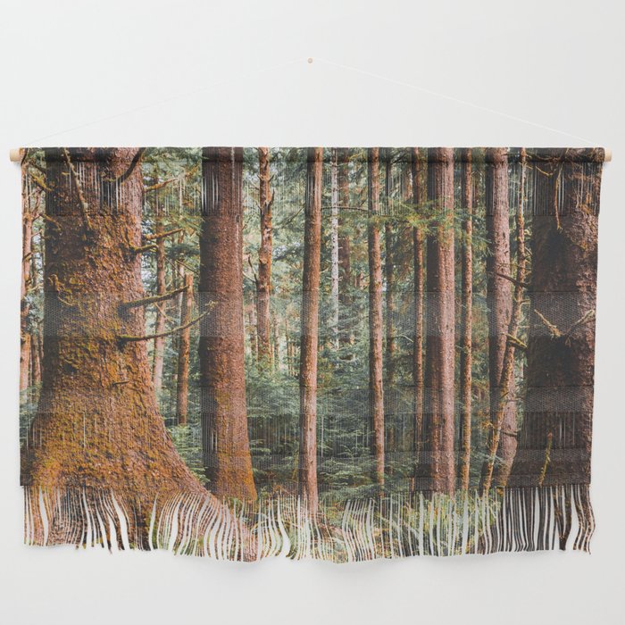 Forest on the Oregon Coast | PNW Landscape Photography Wall Hanging