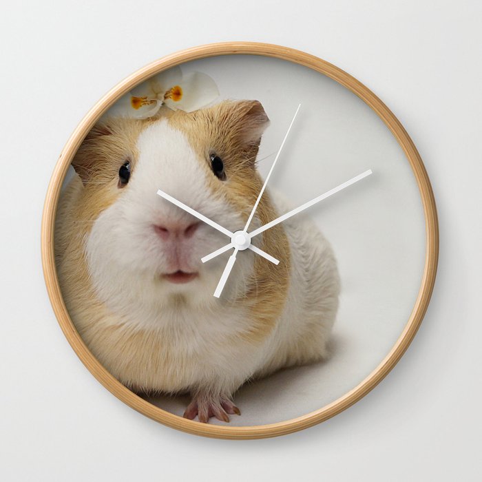 Guinea Pig Wall Clock
