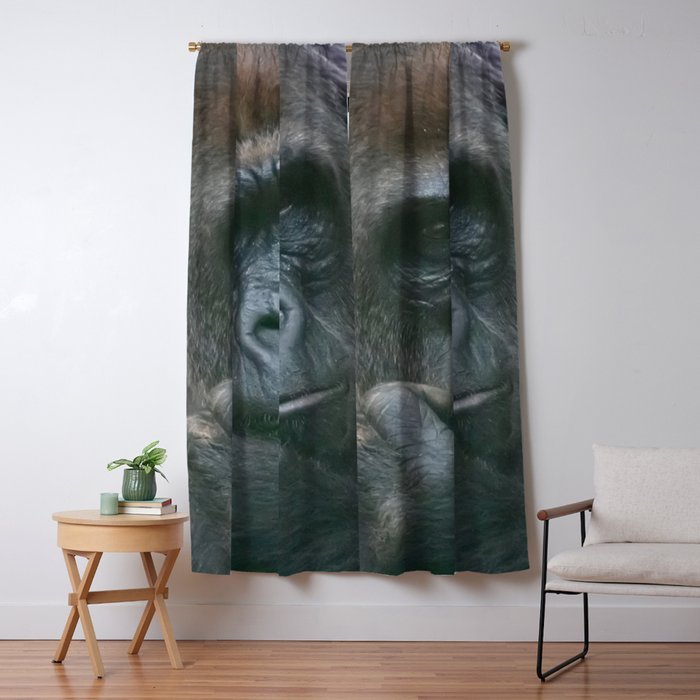 Blackout Curtain