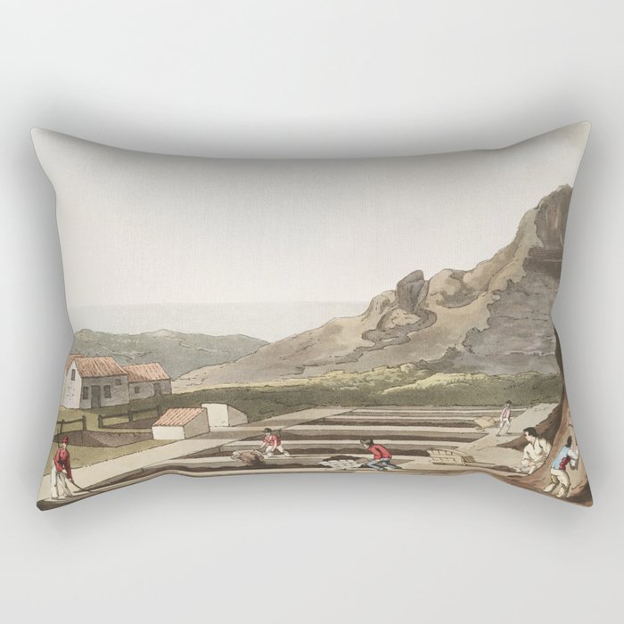 19th century in Yorkshire life Rectangular Pillow