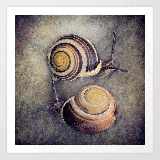 The Yin and Yang of snails .... Art Print