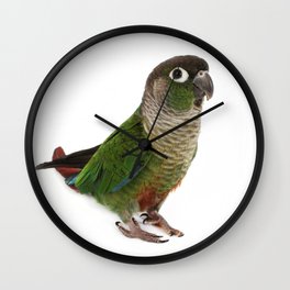 Zeph - Green Cheek Conure Wall Clock