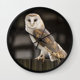 Barn Owl Wall Clock