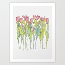 Pink Tulips Illustration Art Print
