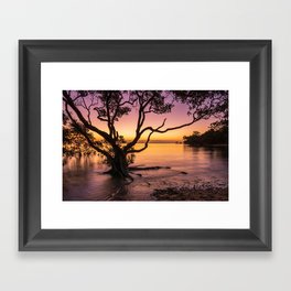 Tropical sunset Framed Art Print