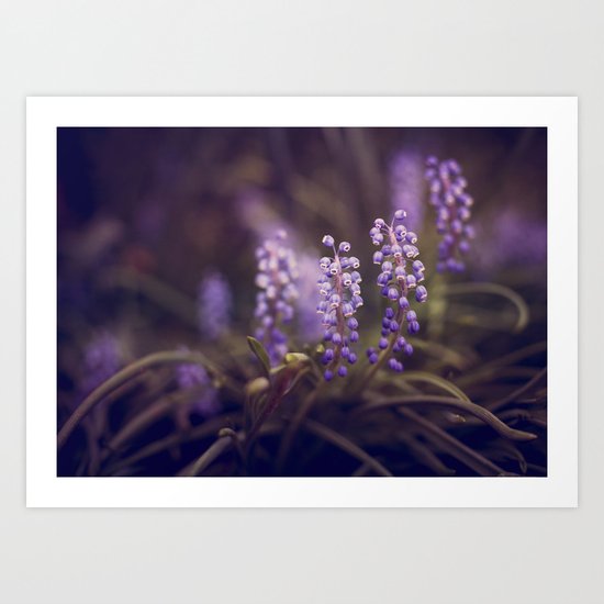 SPRING SPARKLE Art Print