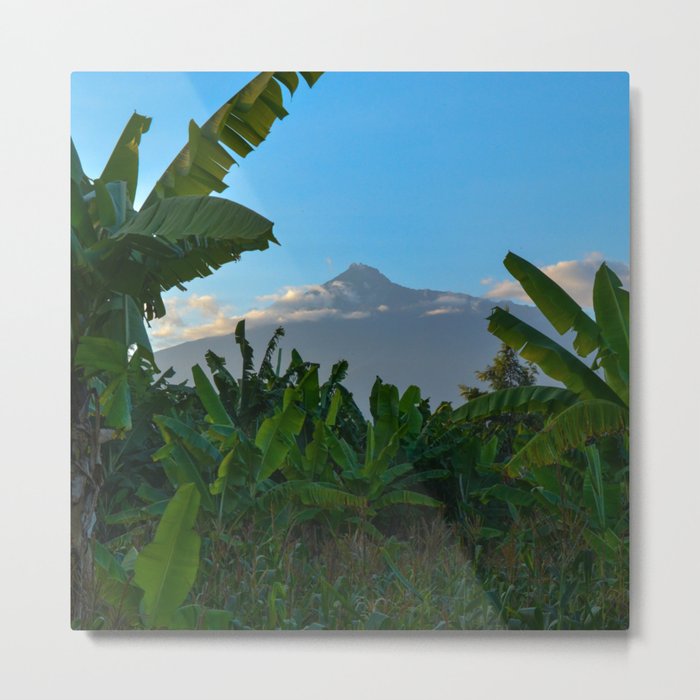South Africa Photography - Dense Jungle In Front Of A Big Mountain Metal Print