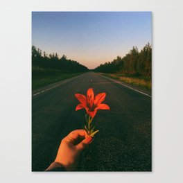 Prairie Tiger Lily Flower Canvas Print