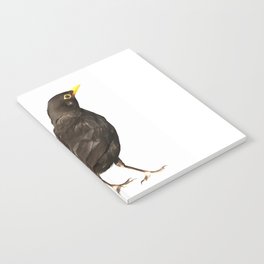 Black Bird Acrylic Painting Isolated On White Notebook