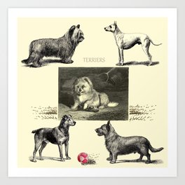 TERRIER DOG Illustration Art Print