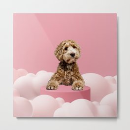 Goldendoodle Laying on Pastel Pink Podium with Cloud Metal Print | Cloud, Mashmallow, Collage, Minimal, Puppy, Goldendoodle, Labradoodle, Dog, Pink, Golden 