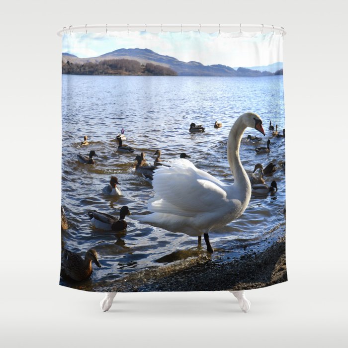 Swan Shower Curtain